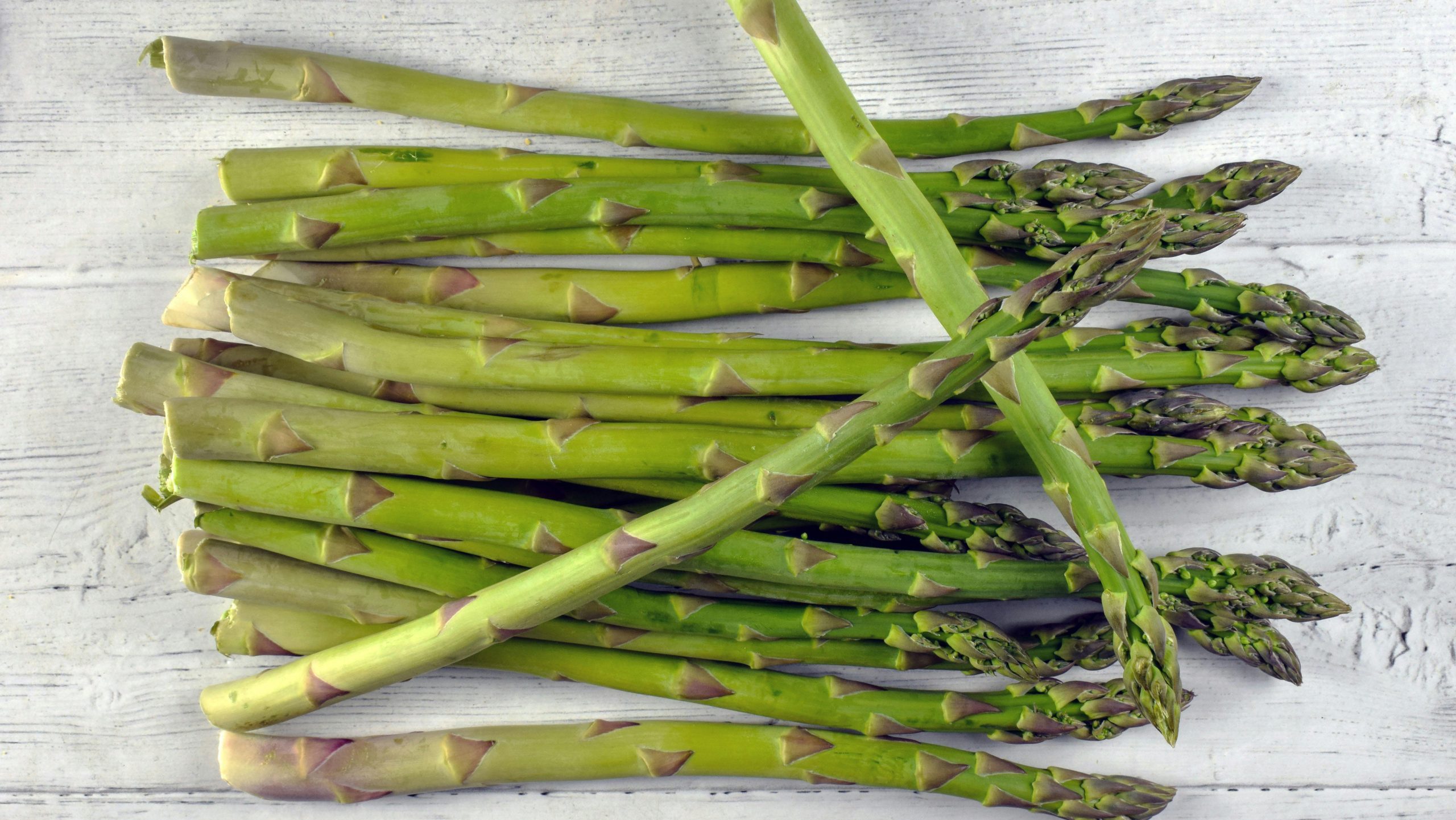 pexels douglas miller 3607411 5462122