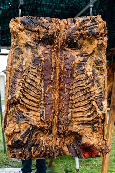 659762491 1543838717744453 1537871058056559111 n 659762491 1543838717744453 1537871058056559111 n