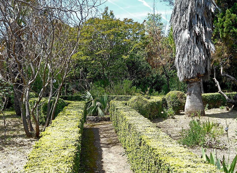 Arboretum Trsteno 01