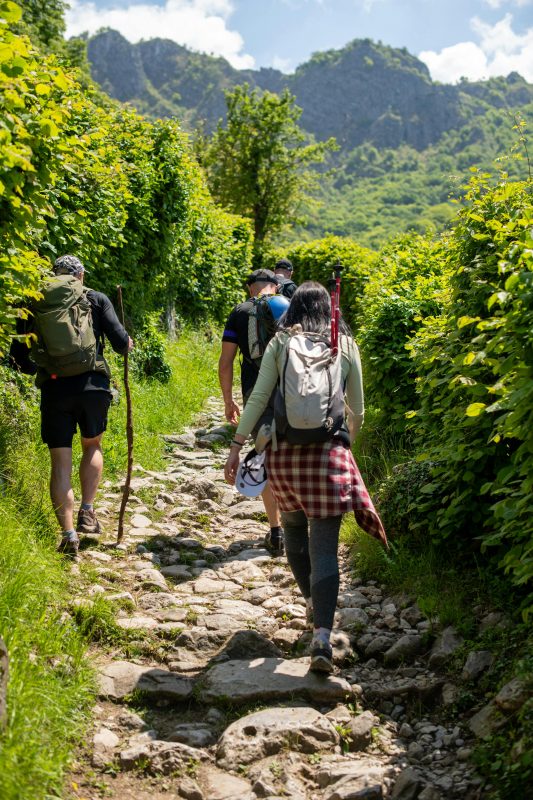 pexels mralexphotography 32278102 pexels mralexphotography 32278102