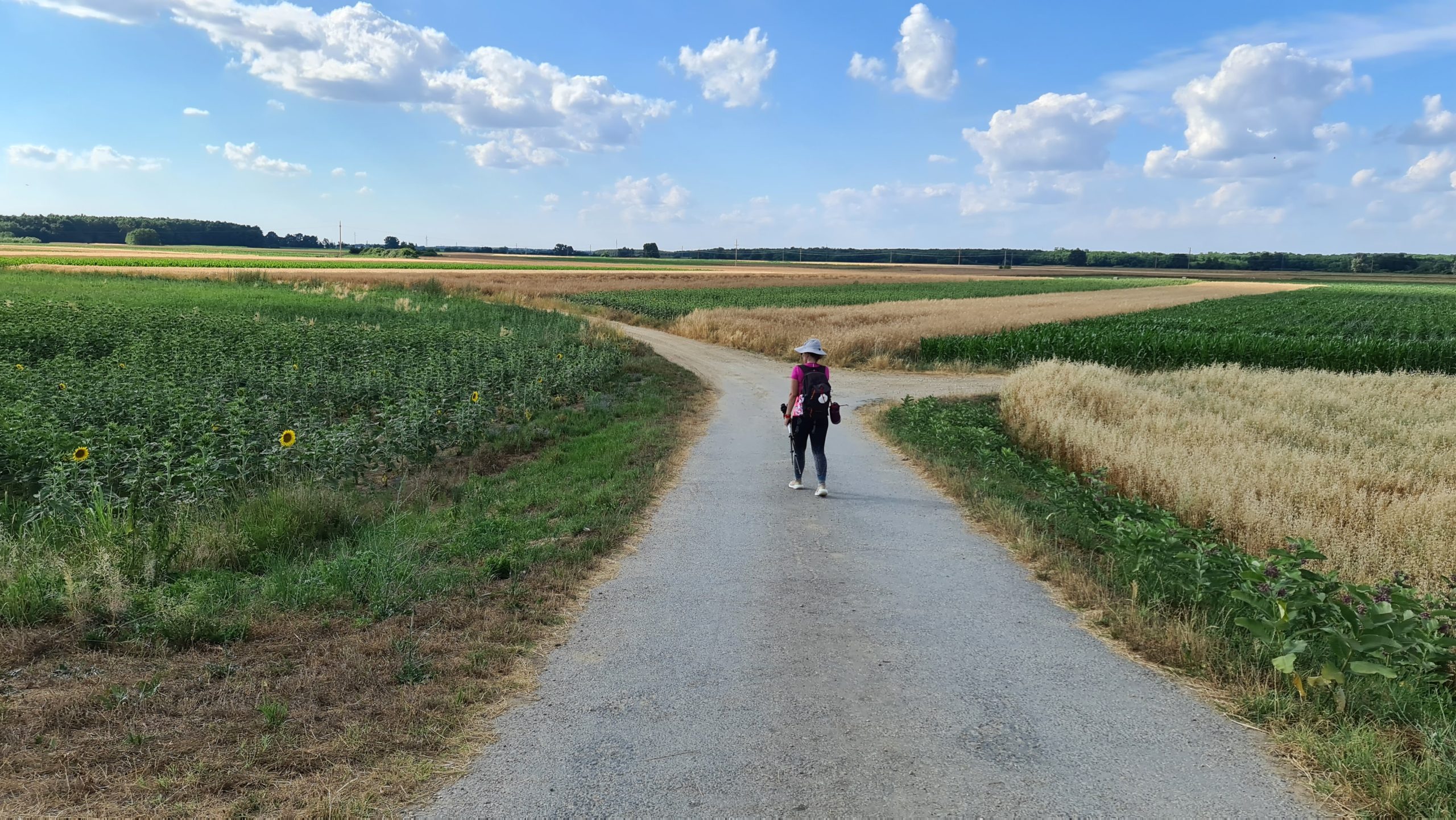 Put kroz podravski kraj na Camino Podravina ruti