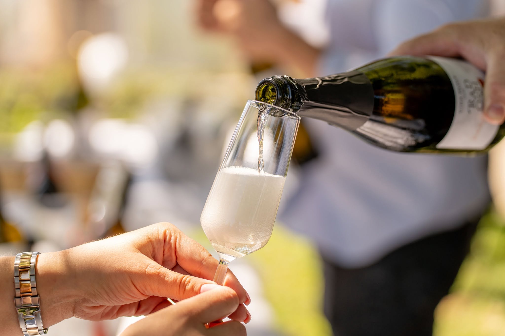 Posjetitelji na 7. Pjenušavom doručku u vinogradu u Iloku