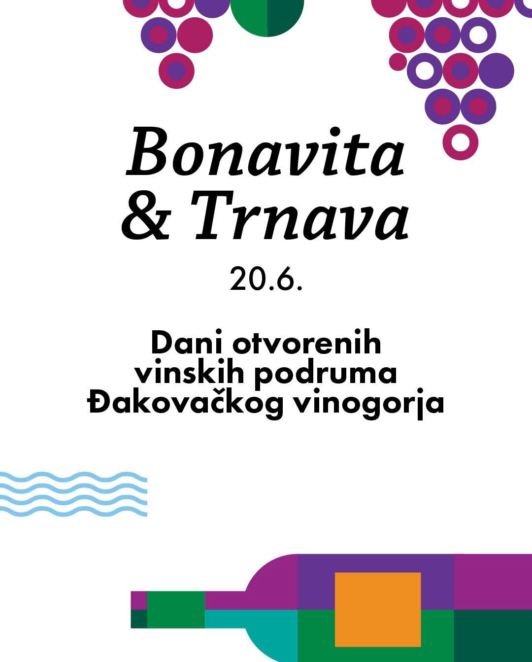 Posjetitelji tijekom Dana otvorenih vinskih podruma Đakovačkog vinogorja