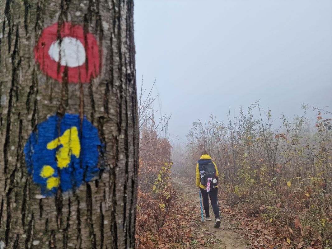 Camino banovina putokaz