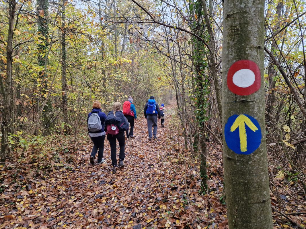 Camino banovina putokaz